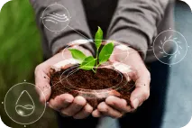 Sustainability