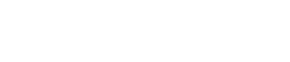 genzam it logo